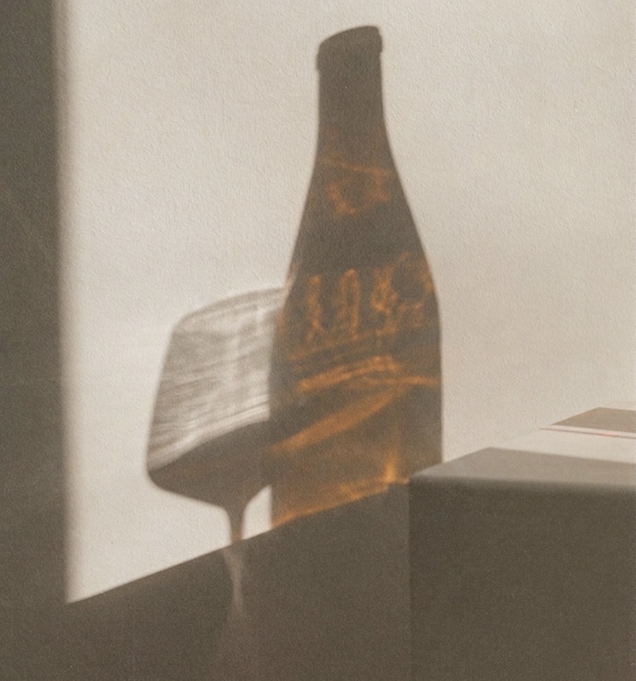 A bottle and a wine glass in late light, casting long shadows on a pale wall